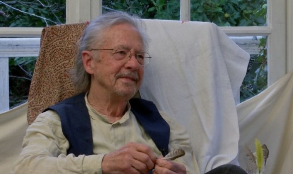 Peter handke