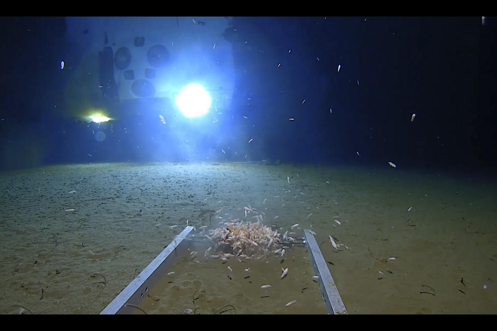 NAUČNICI ĆE USKORO KROČITI U NAJMISTERIOZNIJE MESTO NA PLANETI: Niko nije video šta se tamo nalazi! (VIDEO)