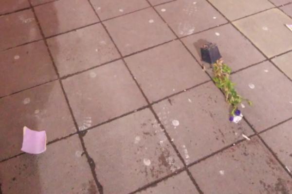 NEKO JE MOGAO DA STRADA, UŽAS U BEOGRADU: Ogromna saksija sručila se na ulicu, ljudi vrištali! (FOTO)