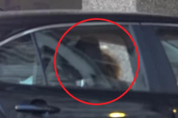 DUŠICA JAKOVLJEVIĆ OTPOČELA VEZU SA BIVŠIM UČESNIKOM ZADRUGE!? Važio za najvećeg ŠVALERA, a ovako su ih PROVALILI!