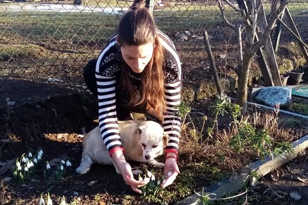 SNEG I LED SU OKOVALI SRBIJU: U ovom gradu BELE SE VISIBABE, ljudi ne VERUJU ŠTA SE DEŠAVA (FOTO)