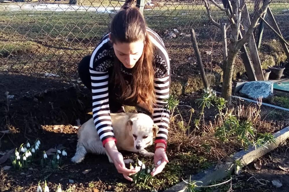 SNEG I LED SU OKOVALI SRBIJU: U ovom gradu BELE SE VISIBABE, ljudi ne VERUJU ŠTA SE DEŠAVA (FOTO)
