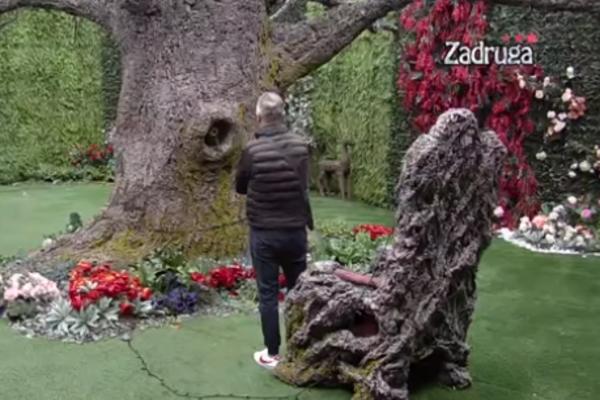 JOŠ SE NIJE RAZVEO, EDIS PLANIRA DA ZAPROSI DRAGANU NA DAN ZALJUBLJENIH: Tražio prsten od Drveta! (VIDEO)