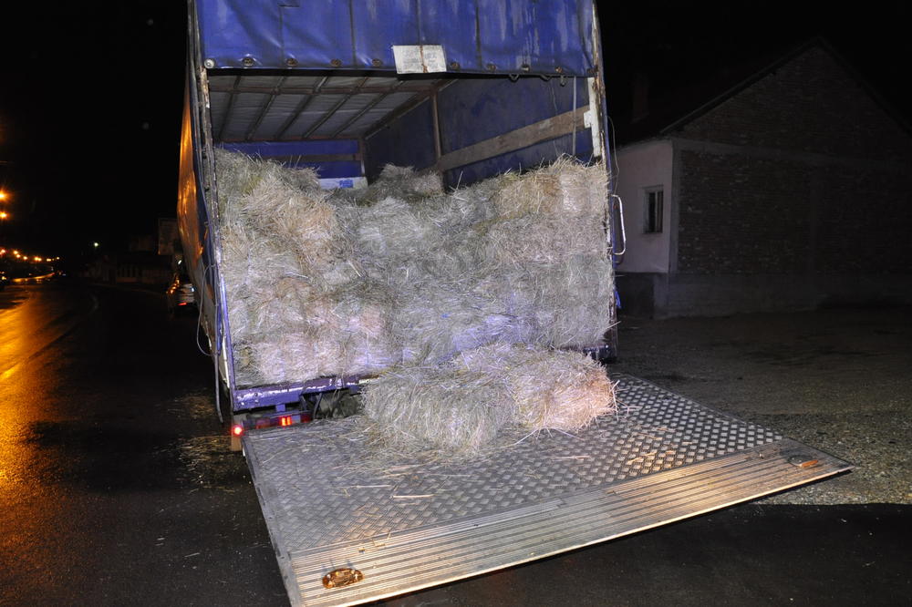 SRPSKI POLICAJCI SU OTVORILI KAMION PUN TRAVE I NJEMU SU PRONAŠLI TRAVU! Ali ne onu koja je LEGALNA!