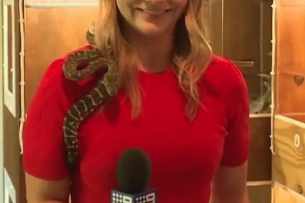 ZLA VODITELJKA MALTRETIRALA ZAPOSLENE? Istina izašla na videlo, SVI ŠOKIRANI!