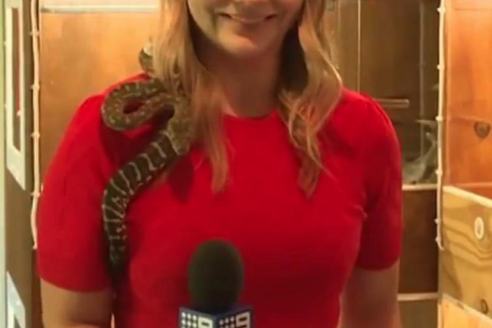 ZLA VODITELJKA MALTRETIRALA ZAPOSLENE? Istina izašla na videlo, SVI ŠOKIRANI!