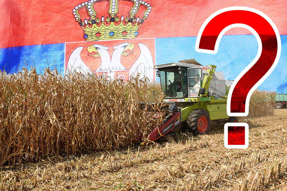 PRODATA NAJSKUPLJA NJIVA U SRBIJI: Oboren rekord, a od cene će VAM SE ZAVRTETI U GLAVI