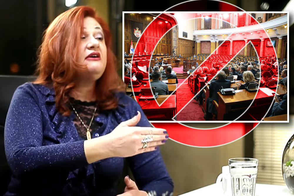 TRAŽIM DA SE UKINU PLATE POSLANICIMA, FINANSIRANJE PARTIJA I SKUPŠTINSKI RESTORAN Nema poslanice kao što je Čabraja