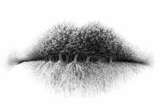 POGLEDAJTE U OVU SLIKU: Ono što prvo vidite, govori MNOGO o vašoj ličnosti!