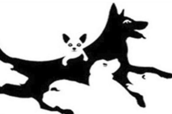 BROJ PASA KOJI VIDITE NA OVOJ SLICI će vam reći koliko MENTALNO IMATE GODINA (FOTO)