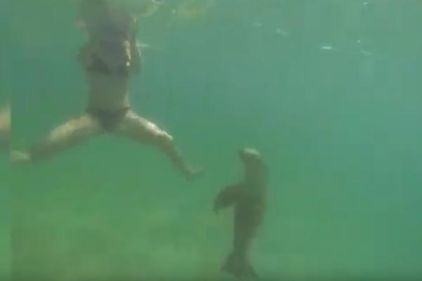 PEKARKA (25) UŠLA U VODU, PA DOŽIVELA NAJVEĆI HOROR SVOG ŽIVOTA: Počeli da joj kidaju KOŽU I MESO! (VIDEO)