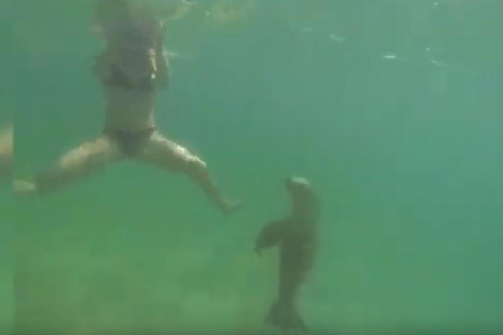 PEKARKA (25) UŠLA U VODU, PA DOŽIVELA NAJVEĆI HOROR SVOG ŽIVOTA: Počeli da joj kidaju KOŽU I MESO! (VIDEO)