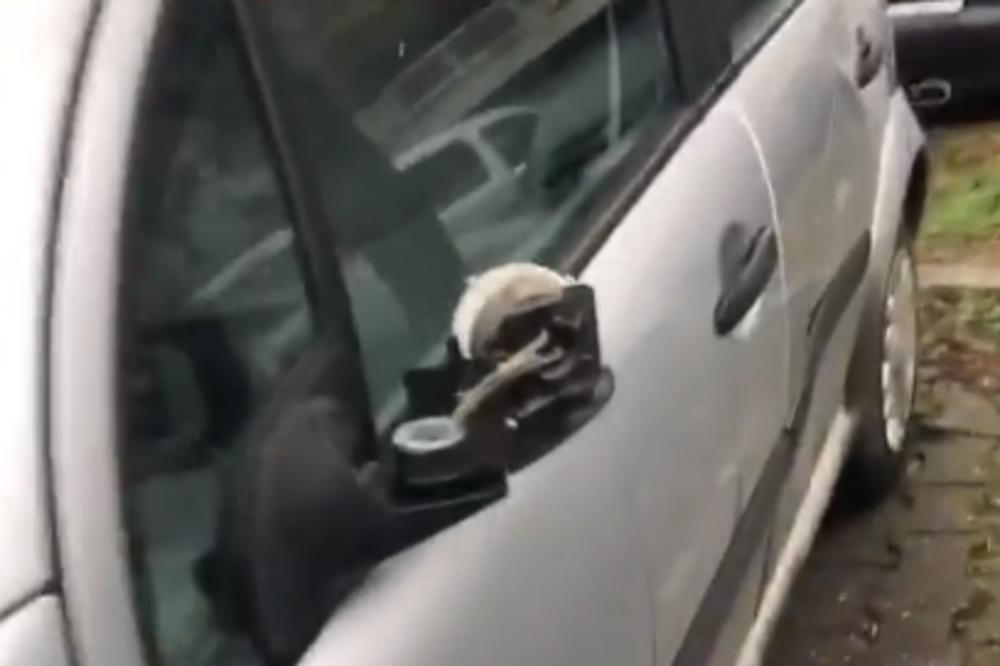 MUŠKARAC IZLUPAO AUTO, PA POTOM NASRNUO NA DEVOJKU: Skandal na Banovom brdu!