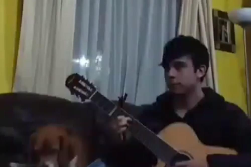 SVIRAO JE KUCI ROMANTIČNU PESMU: A onda je kuca pokazala kako se oseća! (VIDEO)