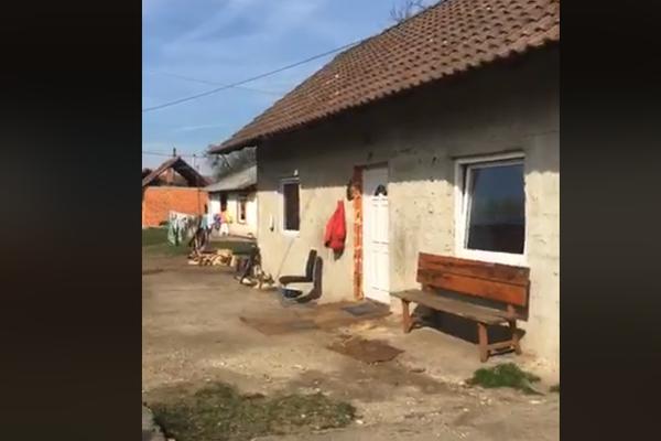 OVA ŽENA JE OBEZGLAVILA BIVŠU SVASTIKU: Uzela je NOŽ, a onda joj je uradila OVO!