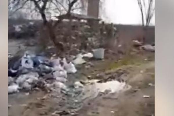 PAKAO U SRBIJI U 21. VEKU: Pa ljudi, da li je MOGUĆE da smo dozvolili ovo? EKOLOŠKA KATASTROFA! (VIDEO)