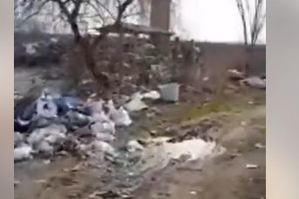 PAKAO U SRBIJI U 21. VEKU: Pa ljudi, da li je MOGUĆE da smo dozvolili ovo? EKOLOŠKA KATASTROFA! (VIDEO)