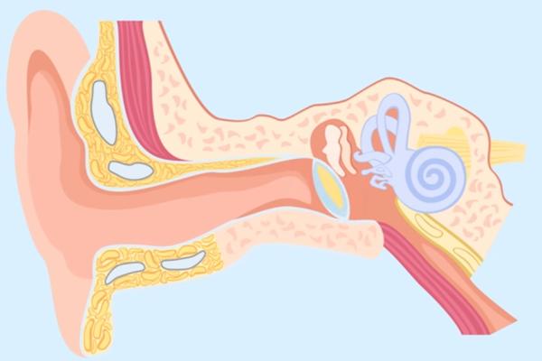 UŠI BEZ GREŠKE OTKRIVAJU SA KAKVOM SE BOLEŠĆU BORI VAŠE TELO: Evo šta znači ako su jarko crvene!