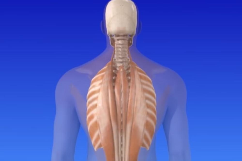 AKO VAŠE TELO PROIZVODI OVE ZVUKOVE, ODMAH IDITE KOD LEKARA: Pažljivo pročitajte o čemu se radi!