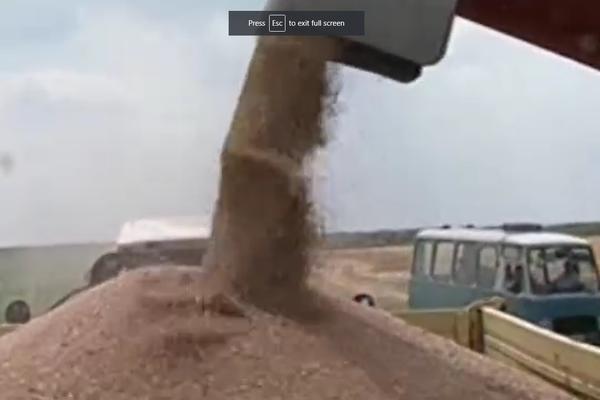 NIKAD TEŽA GODINA ZA RATARE: Preti i poskupljenje MESA