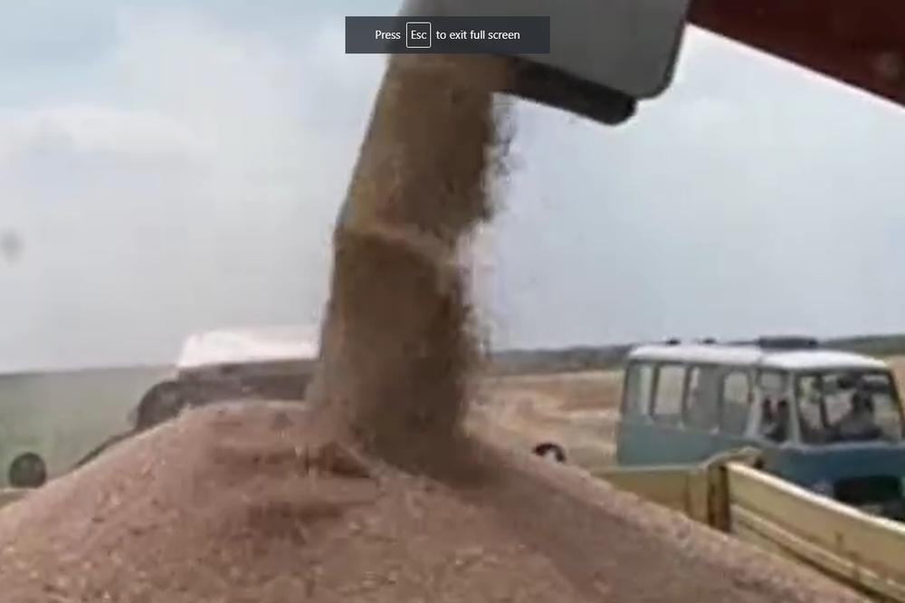 NIKAD TEŽA GODINA ZA RATARE: Preti i poskupljenje MESA