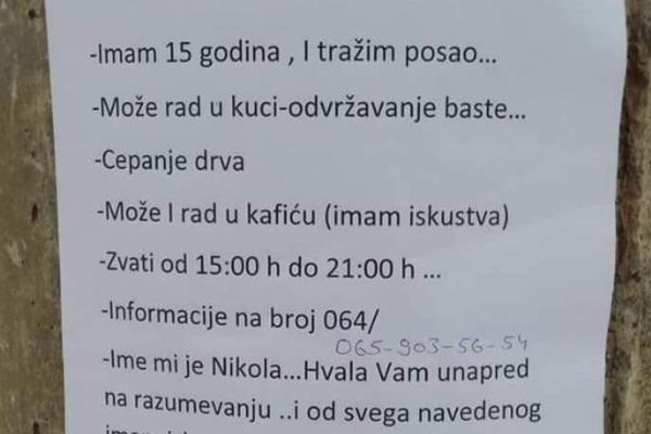 IMAM 15 GODINA, CEPAĆU DRVA I ODRŽAVATI BAŠTE: Pozvali smo oglas o kome bruji Srbija, ŽEŠĆA PREVARA JE U PITANJU!
