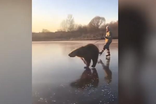 RUSKI MEDVED JE POSTAO PRAVA ATRAKCIJA: Čekajte da vidite šta radi Vasilij! (VIDEO)
