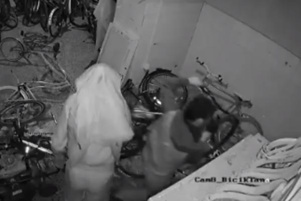 OZLOGLAŠENI "ŠUNJAČI" OPERIŠU PO BEOGRADU: Najaktivniji su leti, nevidljivi su za zakon, a nanose VELIKU ŠTETU!