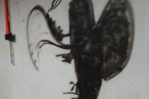 ŠTA VIDITE NA OVOM ZIDU? Optička varka posvađala internet, ali je samo jedan odgovor tačan! (FOTO)