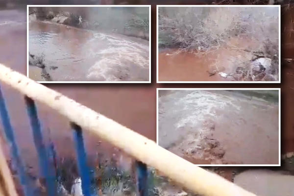 HAOS KOD SMEDEREVA! Teče reka boje krvi, ZAŠTO NIKO NE REAGUJE?