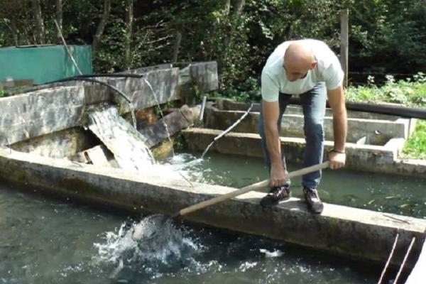 INVESTICIJA JE U STARTU BAREM 7.000 EVRA: Posao može da PROCVETA, a evo kako i do SUBVENCIJE od DRŽAVE!