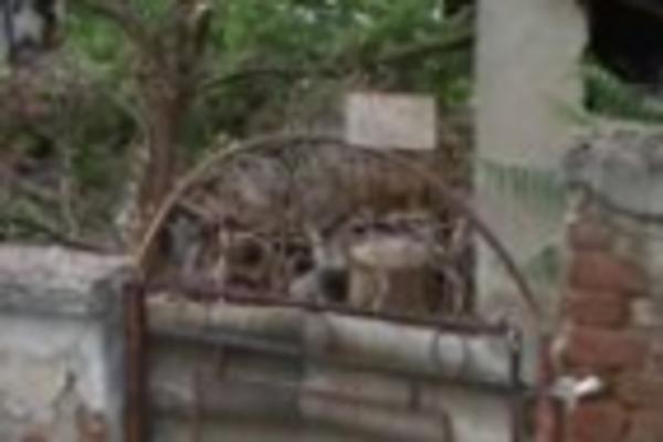 UPOZORENJE NA OVOJ KAPIJI U BEOGRADU JE PRESMEŠNO: Ali lako je moguće da će ga mnogi KOPIRATI (FOTO)