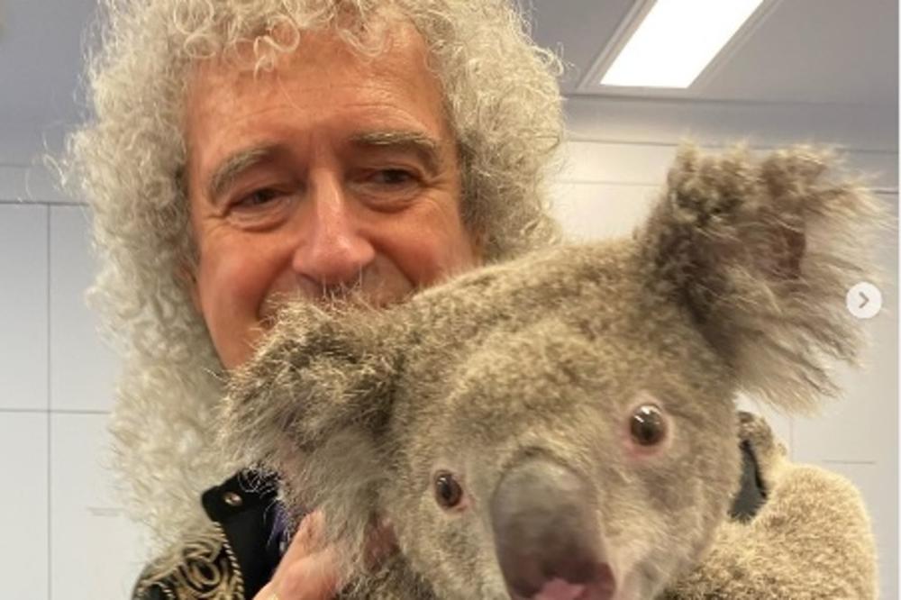 Dirljivo: Brajan Mej, gitarista grupe Queen, svirao koali spasenoj iz požara u Australiji