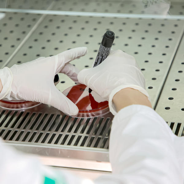 ČUVENI HRVATSKI NAUČNIK OBJASNIO SVE O KORONAVIRUSU: Ovo je PRAVA ISTINA!