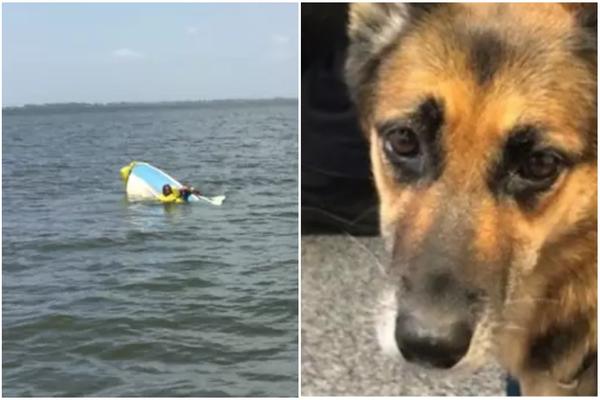 RIBAR JE PRIMETIO PSA U VODI: Odmah je shvatio šta se dešava - nemački ovčar odveo ga je do NEVEROVATNOG PRIZORA!