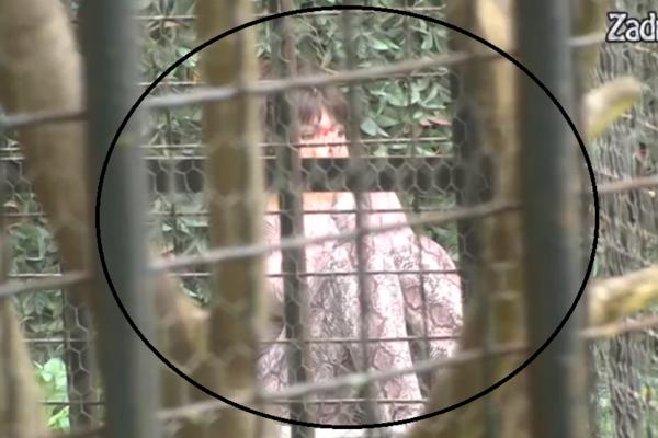 NAJVEĆI NERVNI SLOM MILJANE KULIĆ IKADA: Tresla se, gušila i jecala u suzama! (UZNEMIRUJUĆI VIDEO)