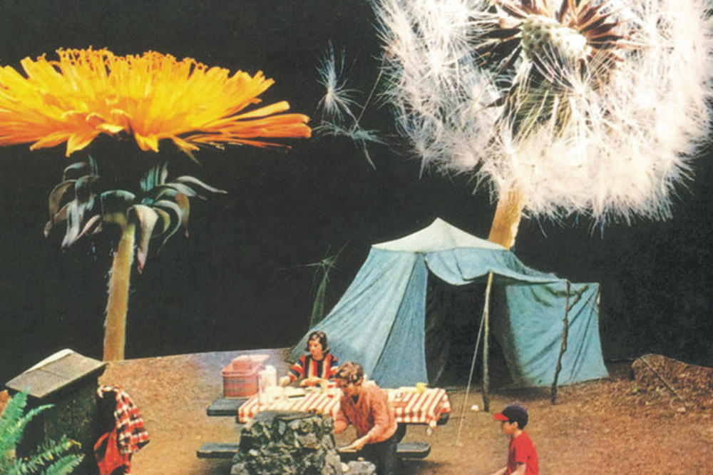 Pearla: Quilting and Other Activities