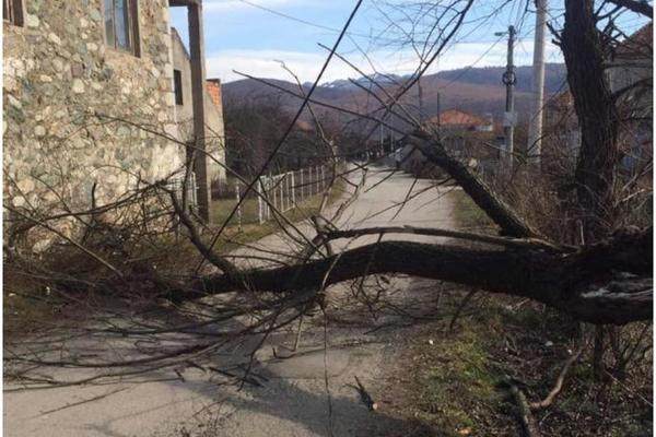 STRAVIČNO NEVREME U CRNOJ GORI: Snažan vetar rušio stabla i nosio krovove, isplivale ŠOK SLIKE (FOTO)