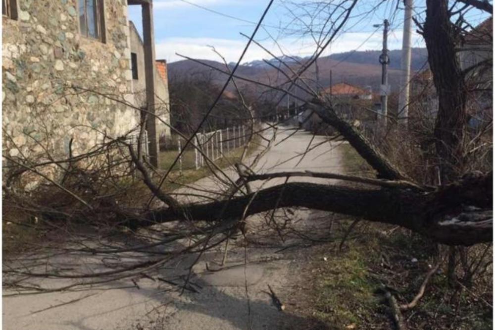 STRAVIČNO NEVREME U CRNOJ GORI: Snažan vetar rušio stabla i nosio krovove, isplivale ŠOK SLIKE (FOTO)