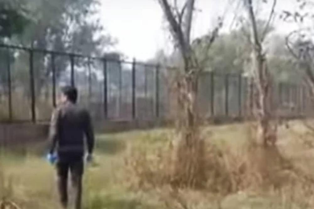 PRELEPA, PREDIVA VEST STIŽE IZ ZOOLOŠKOG VRTA U ČEŠKOJ: Ovo se skoro nije desilo!