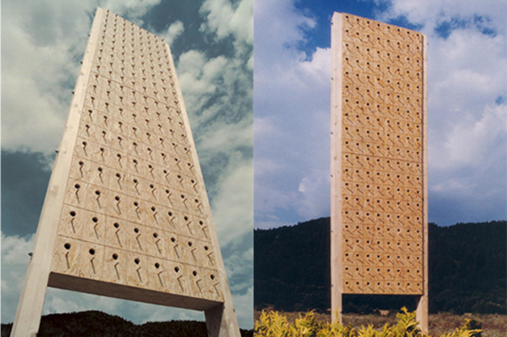 Vladimir Perić Talent izgradio je Neboder za ptice u Rijeci