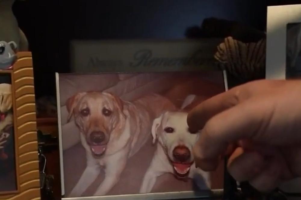 ODLUČILI DA KLONIRAJU VOLJENOG PSA KOJI JE UMRO: Bili su iznenađeni kada su videli kako se ponaša njegov naslednik!