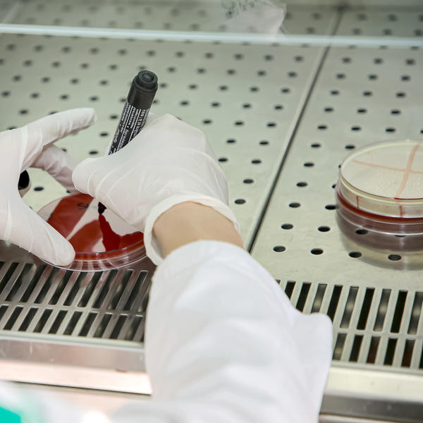 OGLASILO SE MINISTARSTVO SA NAJNOVIJIM VESTIMA O KORONAVIRUSU: Ovo su preneli svi mediji u Srbiji