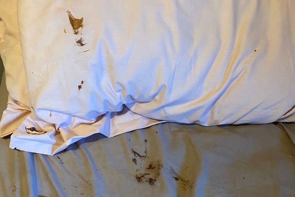 DEVOJKA JE ZATEKLA SMEĐE MRLJE NA JASTUKU: Kada je pitala dečka šta je to, njegov odgovor ju je ŠOKIRAO!