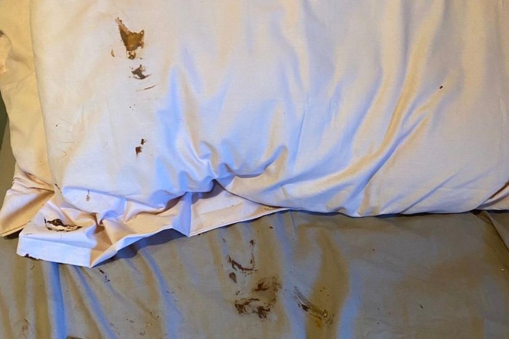 DEVOJKA JE ZATEKLA SMEĐE MRLJE NA JASTUKU: Kada je pitala dečka šta je to, njegov odgovor ju je ŠOKIRAO!