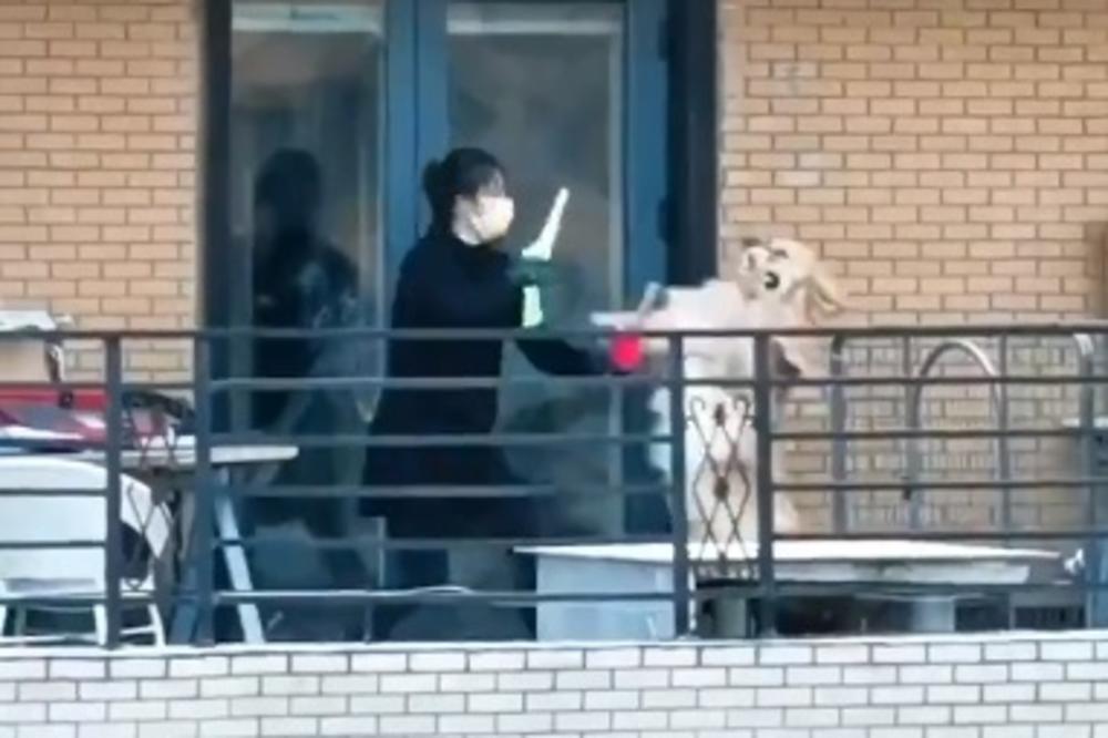 NEOBIČAN PRIZOR: Vlasnica je izvodila svog psa na terasu, ono što su radili će vas ODUŠEVITI!