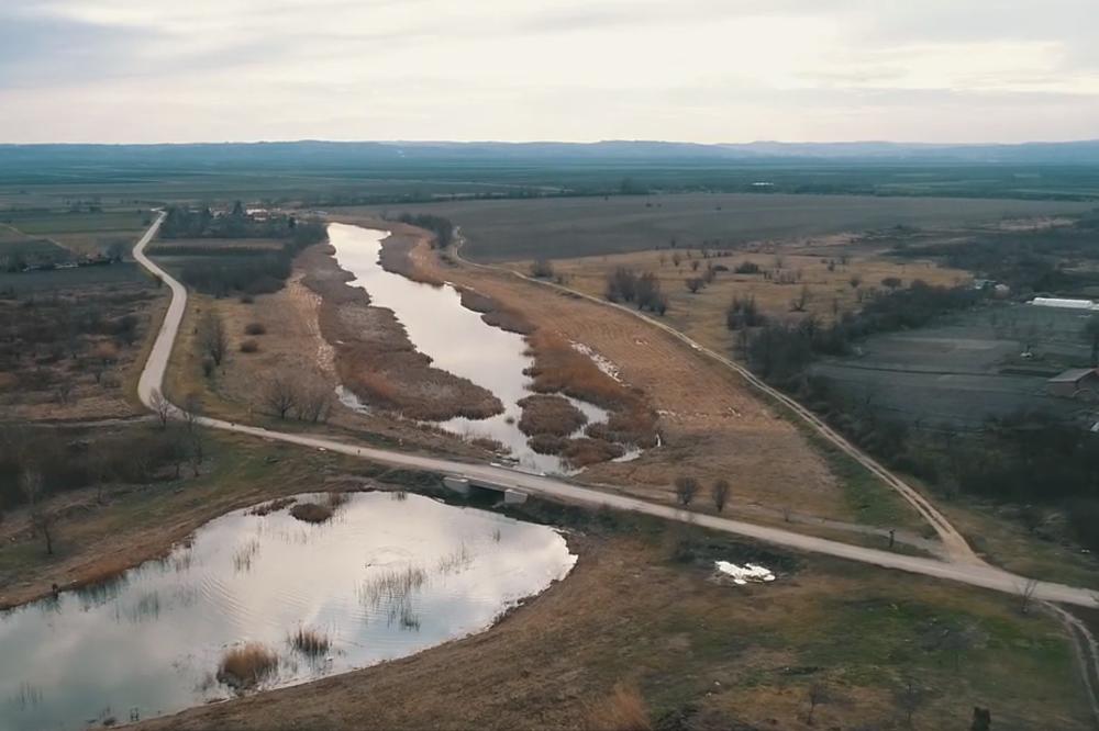 JAPANCI ODUŠEVLJENI PRIRODOM U PANČEVU: Najviše ih privukle ptice, a evo šta će uraditi kako bi ih sačuvali (VIDEO)