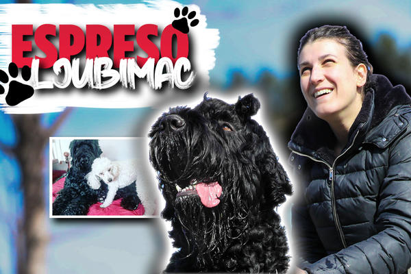 RUSKI TERIJER VANJA PRIČA O SVOM ŽIVOTU: Volim RUSIJU, volim moju ANDREU, a sad planiram U HRVATSKU NA MORE (FOTO)