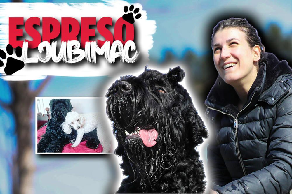 RUSKI TERIJER VANJA PRIČA O SVOM ŽIVOTU: Volim RUSIJU, volim moju ANDREU, a sad planiram U HRVATSKU NA MORE (FOTO)