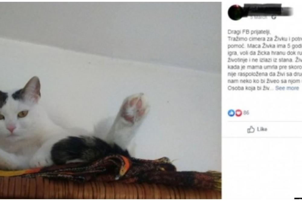 VLASNICI IZDAJU KUĆU POTPUNO BESPLATNO: Postoji samo 1 USLOV, o ovome priča cela Srbija (FOTO)